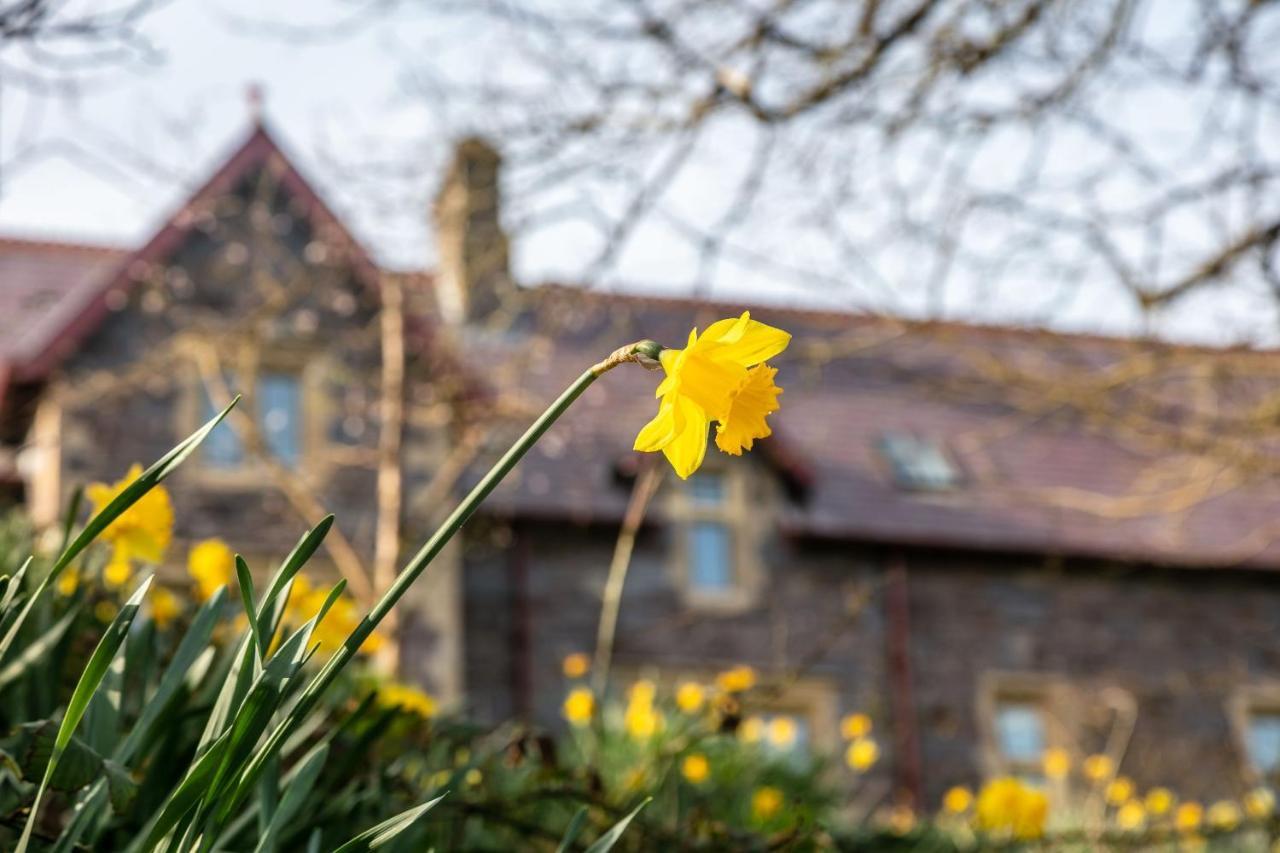 Penrhiw Priory Guest House St. Davids  Exterior foto